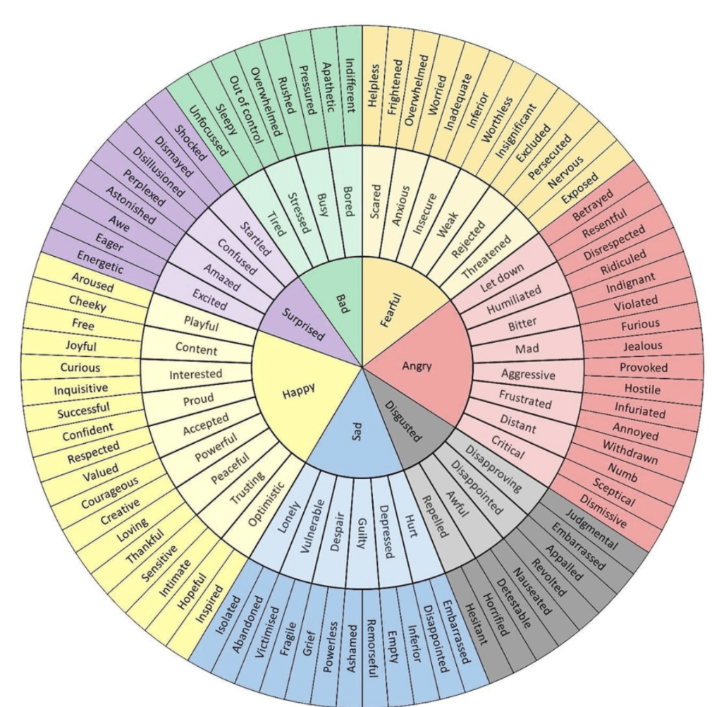 Emotions Wheel showing primary, secondary and nuanced emotions used in counselling to improve emotional awareness and support healthy boundary setting.