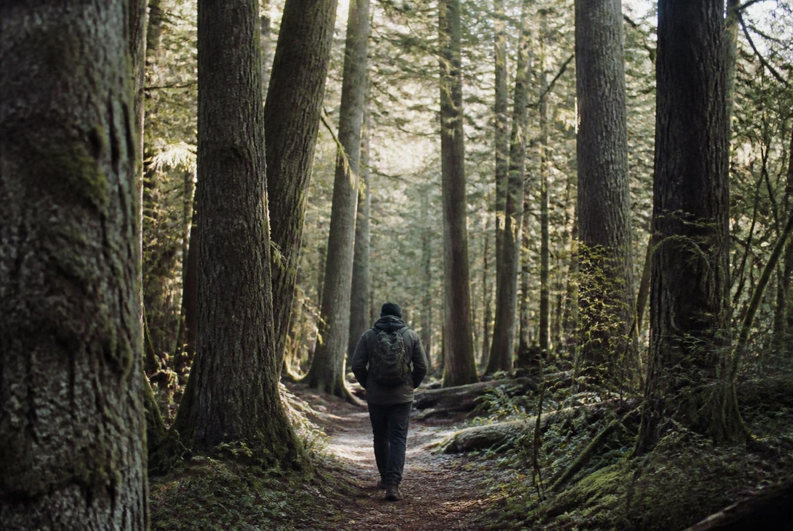 Person walking alone along a quiet forest path, reflecting on the difference between healthy boundaries and emotional walls